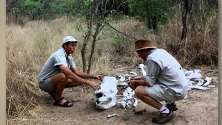 Big Cave Camp , Matobo Hills