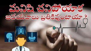 What are the organs that survive after death?మనిషి చనిపోయిన తర్వాత బ్రతికివుండే అవయవాలు ఏమిటి?#human