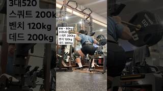 80kg 현재 3대520