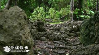 沖縄散歩　知念城跡　雨上がり