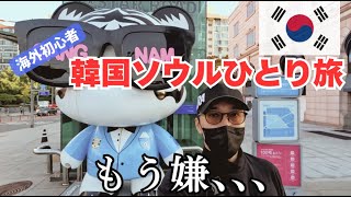 【韓国ひとり旅】韓流スターがお忍びで通う韓牛店でクッパビビンバ堪能/インスタ映え間違いなしのピョルマダン図書館/ロッテワールドタワー