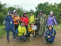 風櫃嘴_頂山石梯嶺步道_擎天崗植物辨認