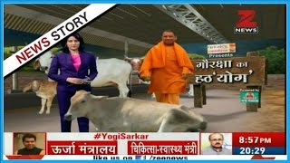 Gau Raksha | Why Yogi Adityanath is fond of serving \