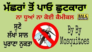 ਮੱਛਰਾਂ ਤੋਂ ਛੁਟਕਾਰਾ ਮਿਲੇਗਾ ਨਾ ਧੂਆਂ ਨਾ ਕੈਮੀਕਲ, ਘਰੇਲੂ ਨੁਕਤਾ । Mosquito free