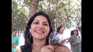 Ta3o Ma3e (come with me) on a Wine Tour with 209 Lebanese Wine | White Paper Packages