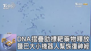 DNA摺疊助標靶藥物釋放 鹽巴大小機器人幫恢復神經｜FOCUS午間新聞 20231228 @tvbsfocus