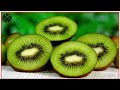 कीवी फल खाने के 5 जबरदस्त फायदे kiwi khane ke fayde kiwi fruits benefits kiwi fal kiwi fruit