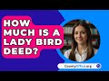 How Much Is a Lady Bird Deed? - CountyOffice.org