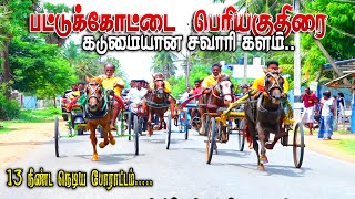 #HORCE_RACE-பெரியகுதிரை - பட்டுக்கோட்டை பந்தயம் 19.06.2023-8