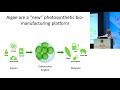 ILSI RF – SABC2017: Keynote Presentation: Photosynthetic Bio-manufac…(Dr. Stephen Mayfield)