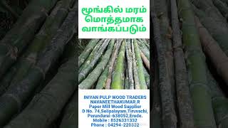 மூங்கில் மொத்தமாக வாங்கப்படும் #tamil #bamboo #Farming #Wood Traders #papermill #savuku #Munkil