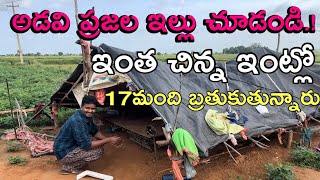 అడవి ప్రజల ఇల్లు ఇంత భయంకరంగా నేను ఎప్పుడు చూడలేదు.! Forest Tribes House Tour