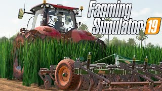 APELEI COM O CASE PUMA | Farming Simulator 19 | Fazendas Paraná - Episódio 95