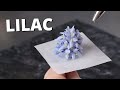 How to pipe buttercream lilac  [ Cake Decorating For Beginners ]