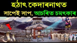 ‌কেদাৰনাথত অদ্ভুত চমৎকাৰ | হঠাৎ এগৰাকী মহিলাৰ সন্মুখত সাপেই সাপ | kedarnath mystery story