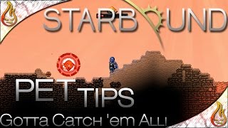 Starbound 1.0 Pet Tips