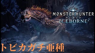 【モンハンアイスボーン】VS トビカガチ亜種 ～意外な相性？～ #24