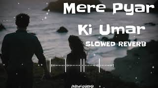 Mere Pyar Ki Umar Ho Itni Sanam Slowed Reverb Song | Karan Arjun | Lata Mangeshkar | Raj Babbar |