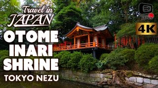 4K Travel in Japan | Otome Inari Shrine | Many Torii Gates in Nezu Shrine | Tokyo Nezu | 乙女稲荷神社・東京