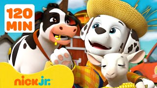 PAW Patrol Pups Save the Farm \u0026 More Rescues! #2 🐮 w/ Marshall | 120 Minutes | Nick Jr.