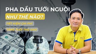 PHA NỒNG ĐỘ DẦU PHÙ HỢP TIẾT KIỆM CHI PHÍ