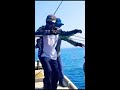 strike mancing mania mantap popping sportfishing ultralightfishing karimunjawaisland