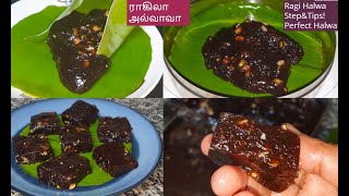 Ragi Halwa /  ராகி அல்வா திரும்பா திரும்பா சாப்பிட தோன்றும் மிஞ்சும் சுவையில்!/கேழ்வரகுபால் அல்வா