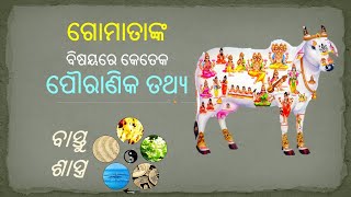 Kamadhenu - The Hindu Goddess | Mythological facts about Goddess Cow | Gomata | Significance of Cow|