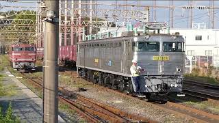 【EF81】 鹿児島線貨物列車  鹿児島(タ)入換→鹿児島発車