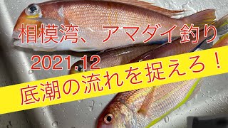 相模湾アマダイ釣り！潮流を捉えて本命も捕らえよ！