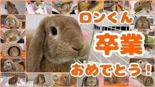 ロンくん卒業おめでとう！　動物専門学校 トリマー 動物看護師 アクアリウム 動物のお仕事