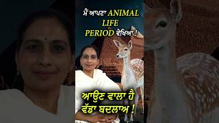 ਮੈਂ ਆਪਣਾ Animal Life Period ਵੇਖਿਆ #shorts #shortsfeeds #ytshorts #youtubeshorts #spiritualjourney