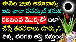 ఈనెల 29న అమావాస్య ఇది చాలా పవర్ఫుల్ కనుక కలబంద మొక్కతో ఇలా చేస్తే తరతరాలు కూర్చుని తిన్న తరగని ఆస్తి