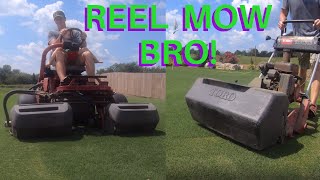 REEL MOWING Bermudagrass :: “tall” grass after vacation