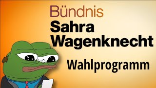 Was will das BSW ? - Wahlprogramm kurz und einfach