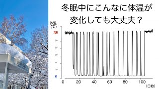 すぐにわかる哺乳類の冬眠