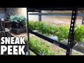 Upcoming Hydroponic Systems