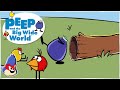 Peep and The Big Wide World Games | PBS Kids | PBS Kids Games | Chirp Shapes Up Game