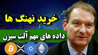 خرید نهنگ ها در ریزش 🔥 آلت سیزن میتونه شروع بشه  / داده و اخبار مهم از کریپتو