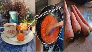 Carrot halwa/ Gajar halwa recipe/ Gajar halwa with Desi ghee