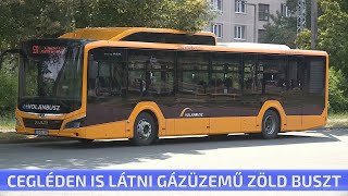 Cegléden is látni gázüzemű buszt