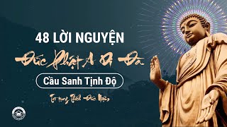 48 Lời Nguyện Của Đức Phật Di Đà. Trì Tụng Mỗi Ngày Công Đức Vô Lượng.Trì tụng: Thích Đức Niệm.