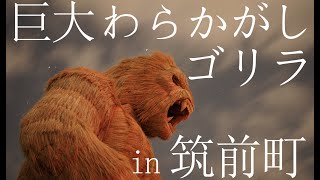 [4Kドローン空撮]筑前町のわらかがし「ゴリラ」（2020年）