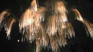 あつぎ鮎祭り花火大会2011　復興祈願花火フェニックス