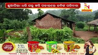 କେନ୍ଦୁଝର ତେଲକୋଇ ରେଞ୍ଜ ଅଞ୍ଚଳରେ ଗୋଠଛଡା ଦନ୍ତାହାତୀ ଉପଦ୍ରବ | NandighoshaTV