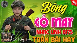 BÔNG CỎ MAY - BOLERO CÔNG TUẤN ➤ LK Nhạc Lính Xưa Bất Hủ 1975 CỰC ÊM TAI DỄ NGỦ