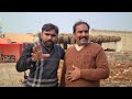 watch pure nili ravi buffalo for sale in punjab pakistan on you tube pakpattan animal tv