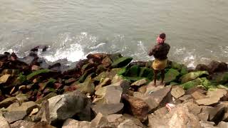 Catching bait fish for bigger fish at pozhikkara kollam