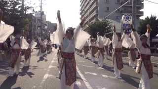 「舞人」坂戸よさこい2013　駅北口通り