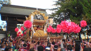 2022 令和4年 恵美酒宮天満神社秋祭り（宵宮） 玉地屋台登場～宮入